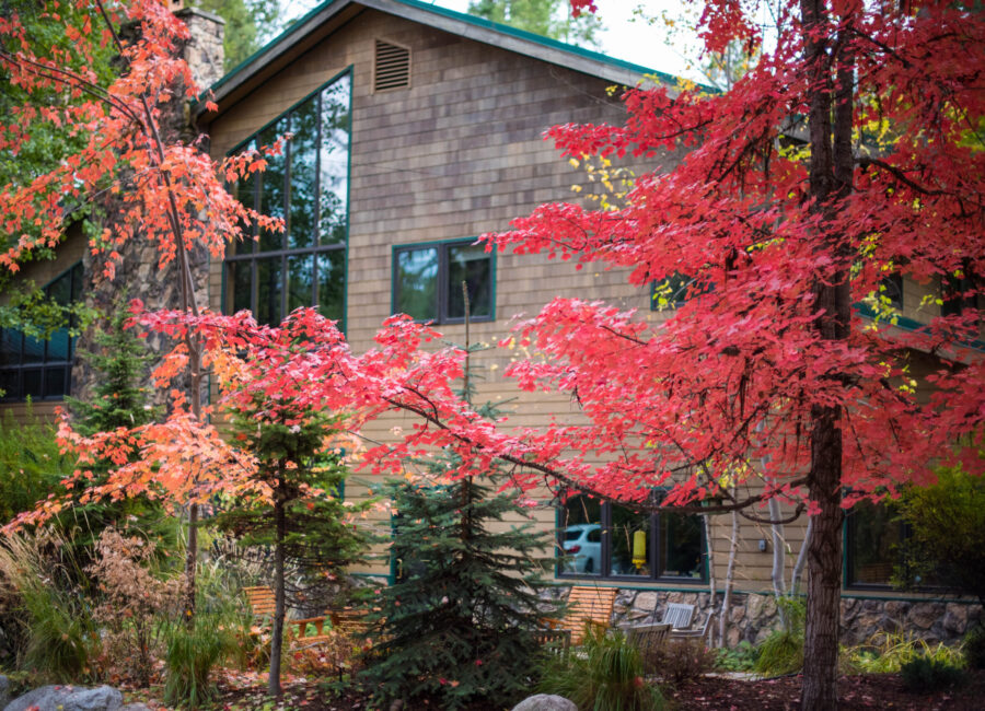 Camp Lutherhaven 11
